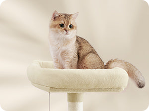 Arbre a chat - Montagne™ - Ronron-Toudou