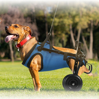 fauteuil-roulant-balade-mode