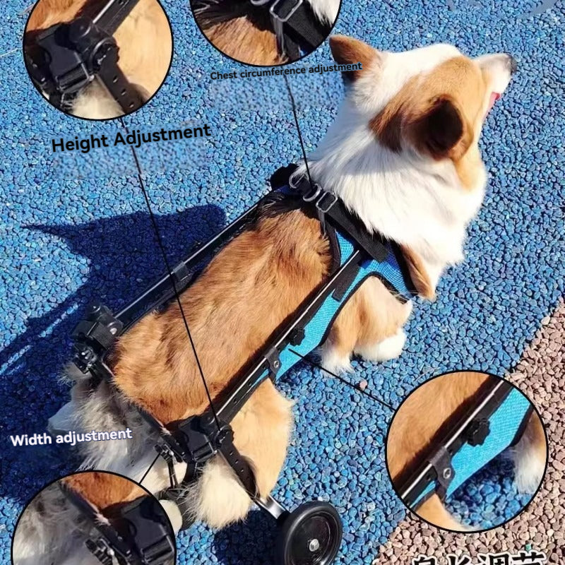  fauteuil-roulant-balade-reglable