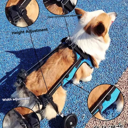  fauteuil-roulant-balade-reglable