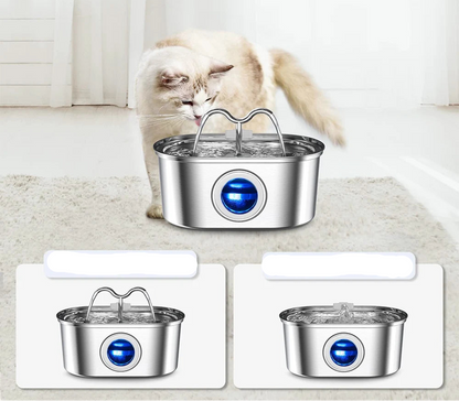 fontaine-à-eau-pour-chat-duo-fonctionnel