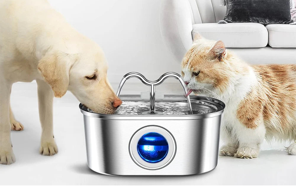 fontaine-à-eau-pour-chat-duo