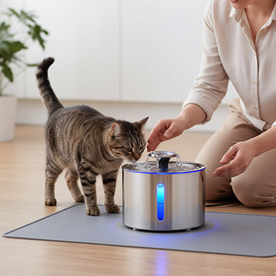 fontaine-a-eau-pour-chat-cascade-fiable