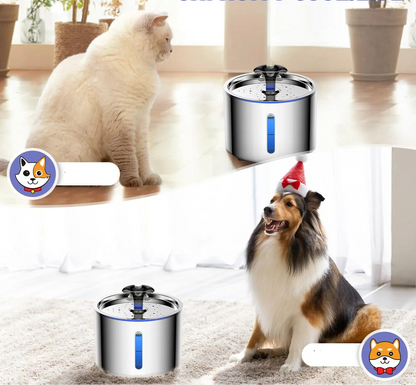 fontaine-a-eau-pour-chat-cascade-longue-durée