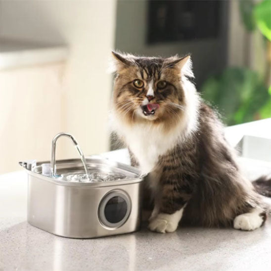 fontaine-a-eau-pour-chat-jet-facile