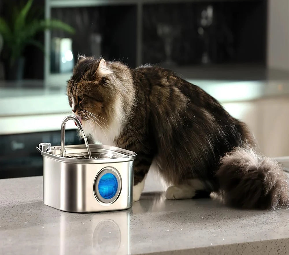 fontaine-a-eau-pour-chat-jet-frai