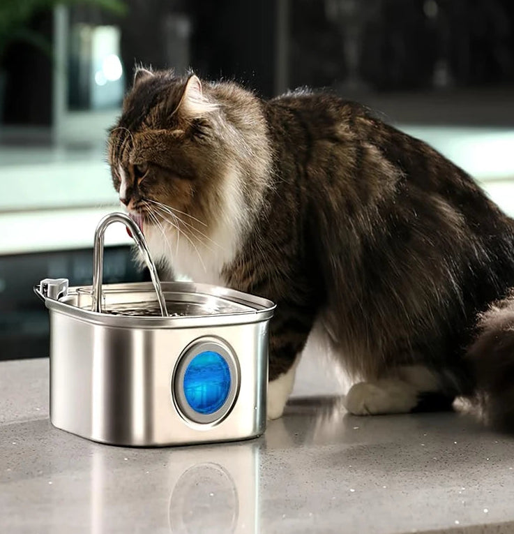 fontaine-a-eau-pour-chat-jet