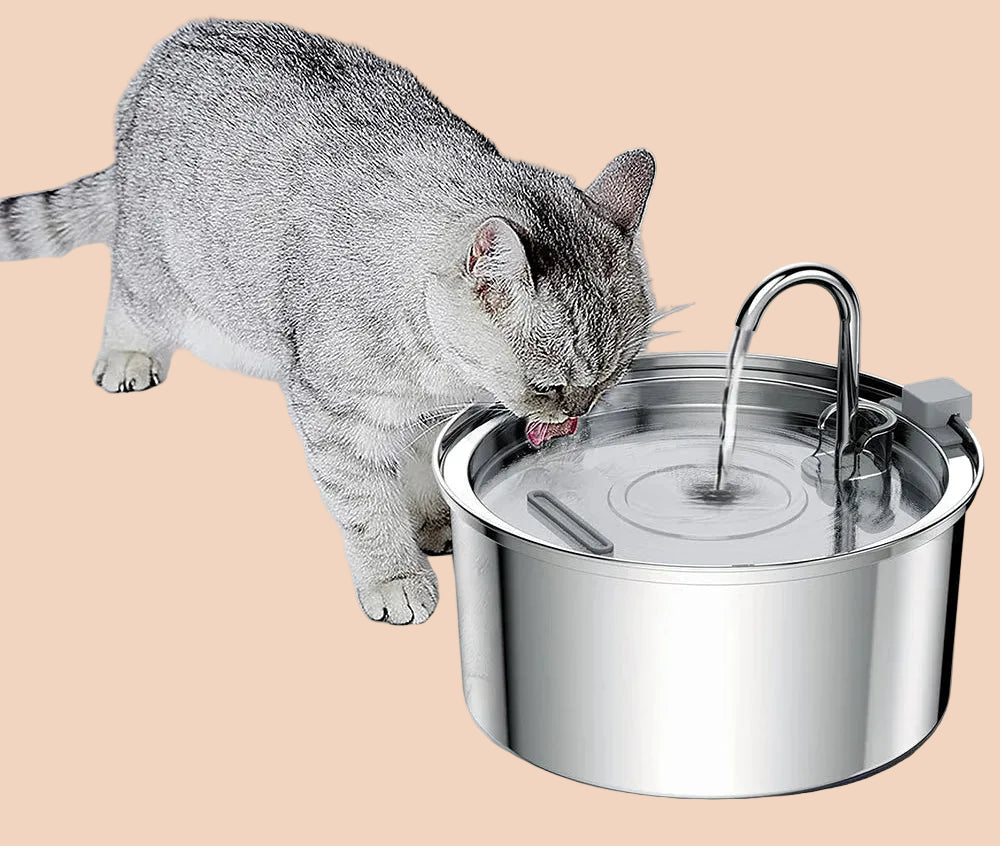 fontaine-a-eau-pour-chat-lebol-filtre