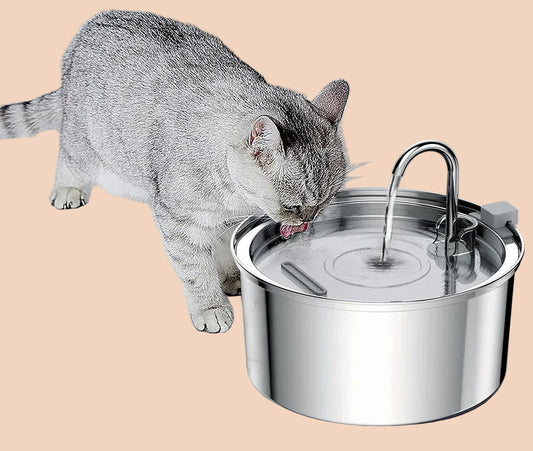 fontaine-a-eau-pour-chat-lebol-filtre