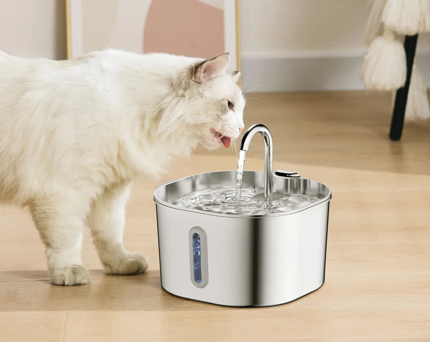 fontaine-a-eau-pour-chat-water-cats