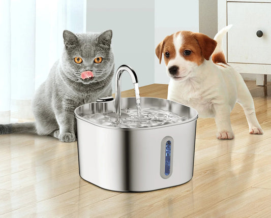 fontaine-a-eau-pour-chat-water