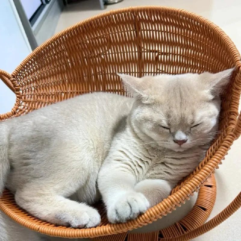 hamac-pour-chat-balancelle-pose