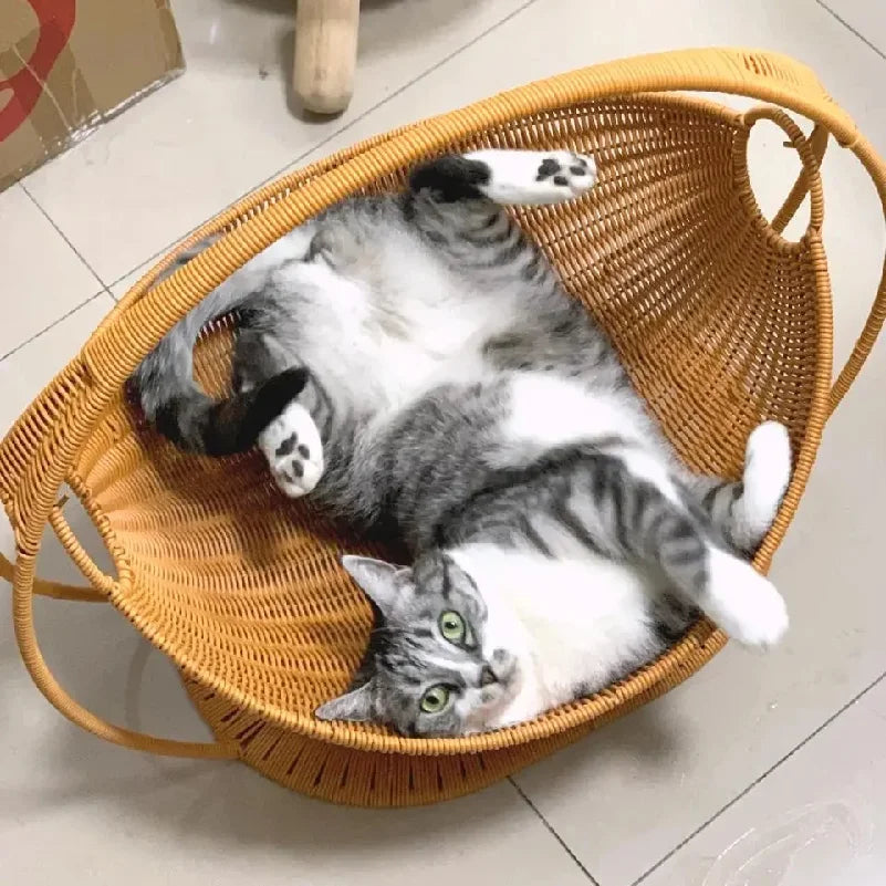 hamac-pour-chat-balancelle-poser