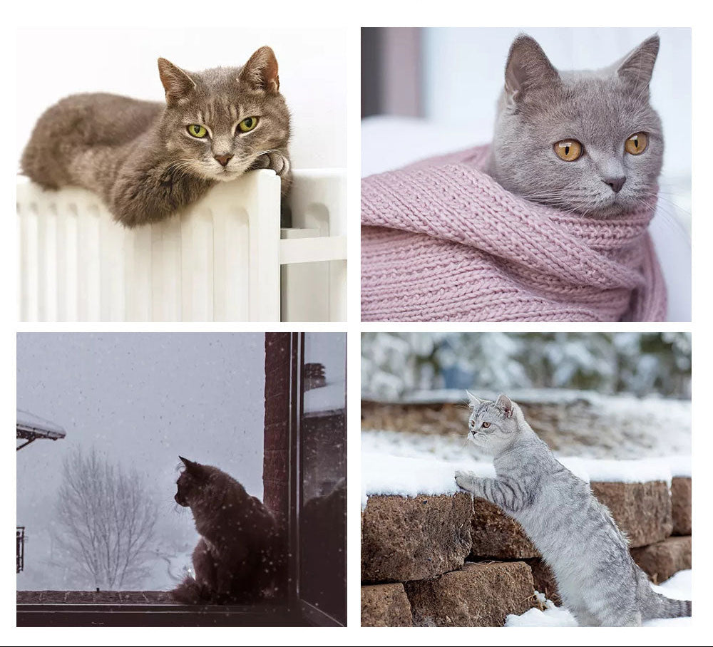 hamac-pour-chat-confort-frileux