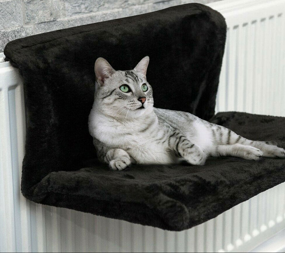 hamac-pour-chat-confort-pose