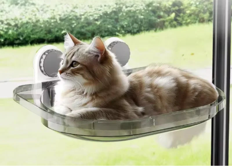 hamac-pour-chat-resiste-gris-robuste