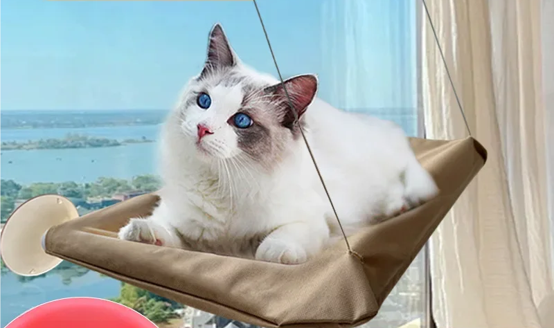 hamac-pour-chat-resiste-poser