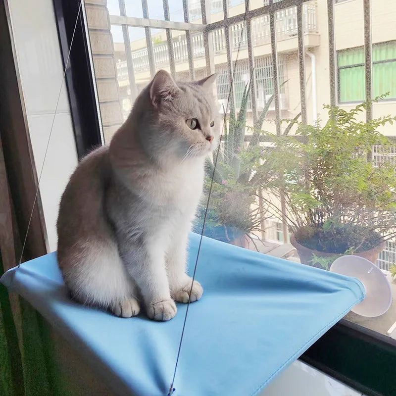 hamac-pour-chat-resiste-vision