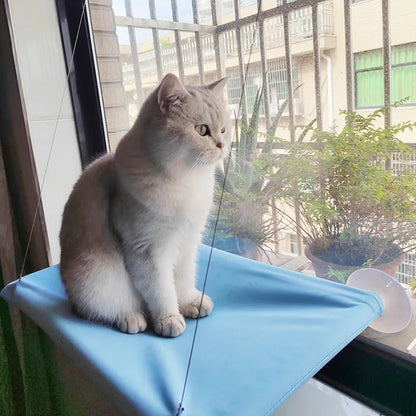 hamac-pour-chat-resiste-vision