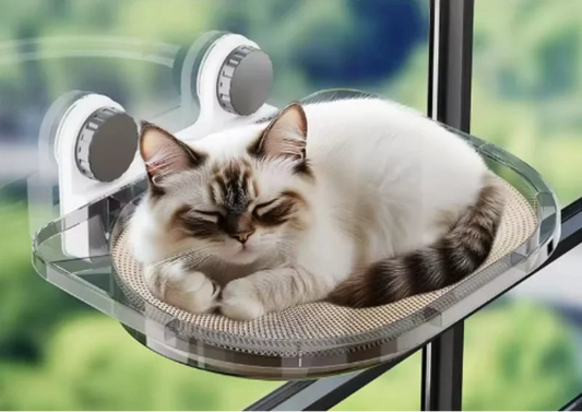 hamac-pour-chat-resiste