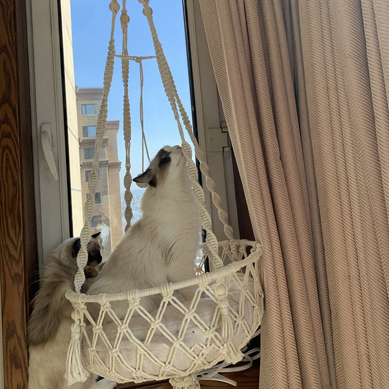 hamac-pour-chat-suspendu-poser