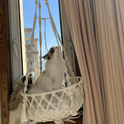 hamac-pour-chat-suspendu-poser