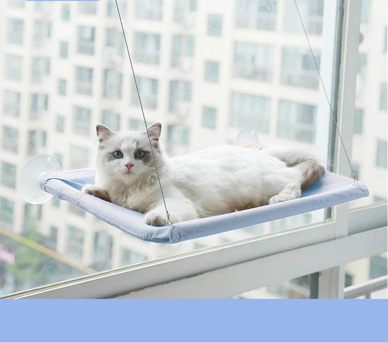 hamac-pour-chat-vision-bleu