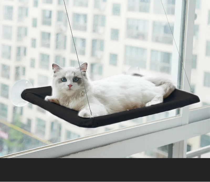 hamac-pour-chat-vision-noir
