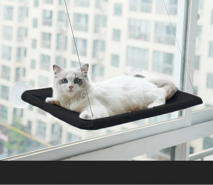 hamac-pour-chat-vision-noir