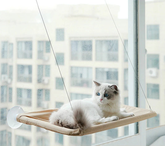 hamac-pour-chat-vision