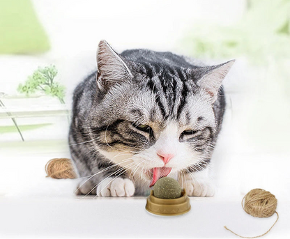 Herbe à chat - Laboulle™ - Ronron-Toudou