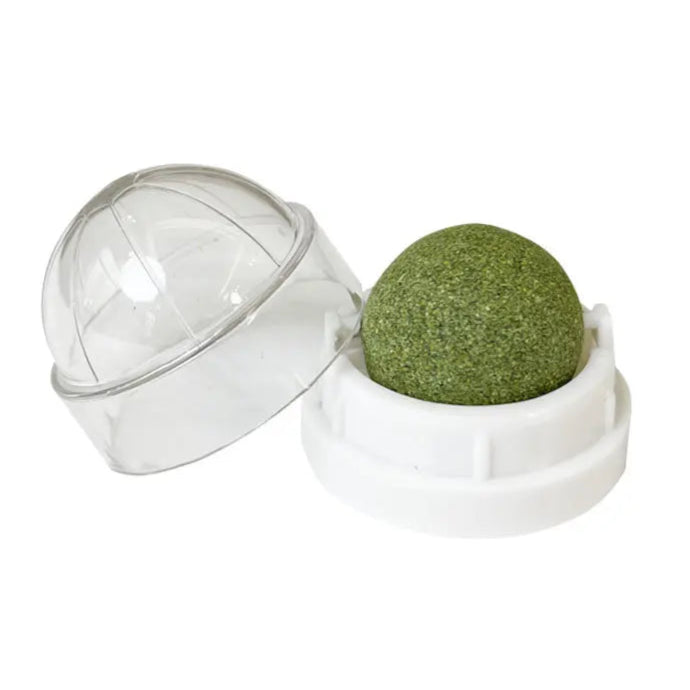 Herbe à chat - Laboulle™ - Ronron-Toudou