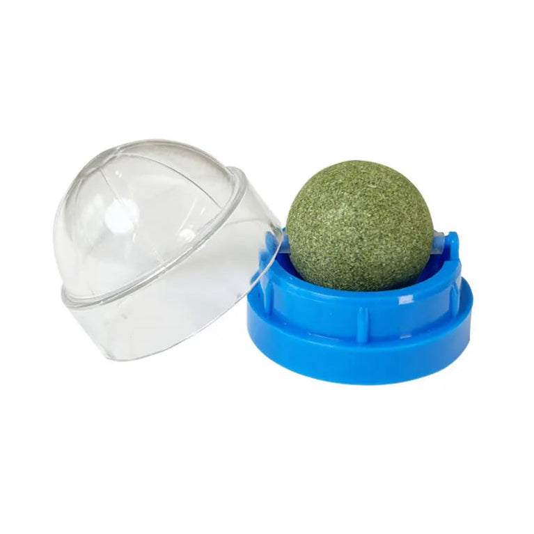 Herbe à chat - Laboulle™ - Ronron-Toudou