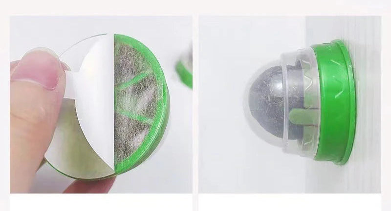 Herbe à chat - Laboulle™ - Ronron-Toudou