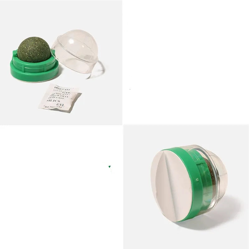 Herbe à chat - Laboulle™ - Ronron-Toudou