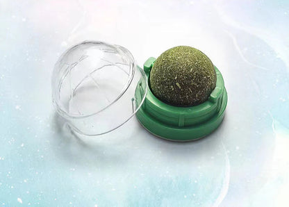 Herbe à chat - Laboulle™ - Ronron-Toudou