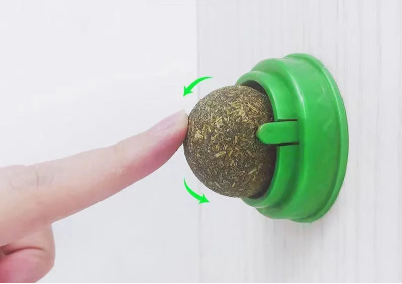 Herbe à chat - Laboulle™ - Ronron-Toudou