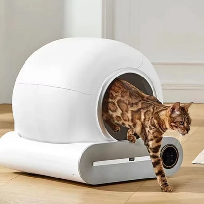 litiere-automatique-pour-chat_design-auto-nettoyant-pratque

