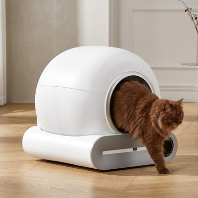 litiere-automatique-pour-chat_design-auto-nettoyante-propre