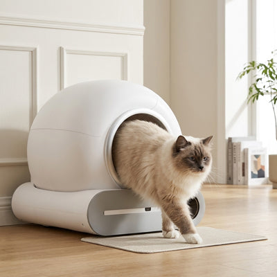 litiere-automatique-pour-chat_design-auto-nettoyante-secure