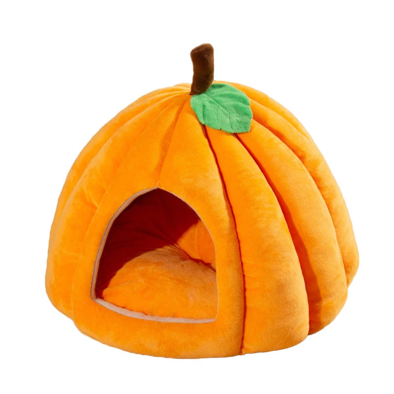 niche-challoween-orange