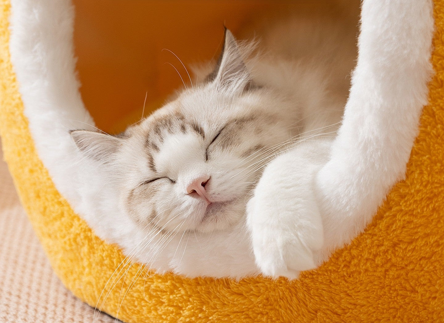 niche-pour-chat-citrouille-confort