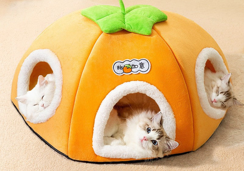 niche-pour-chat-citrouille-poser