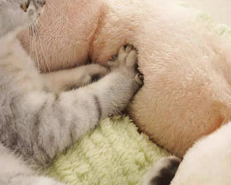 Niche pour Chat Corol™ - Ronron-Toudou