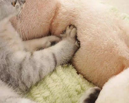 Niche pour Chat Corol™ - Ronron-Toudou