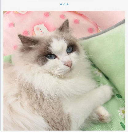 Panier pour chat - l'Ice™ - Ronron-Toudou