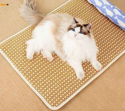 panier-pour-chat-matelas-a-eau-poser