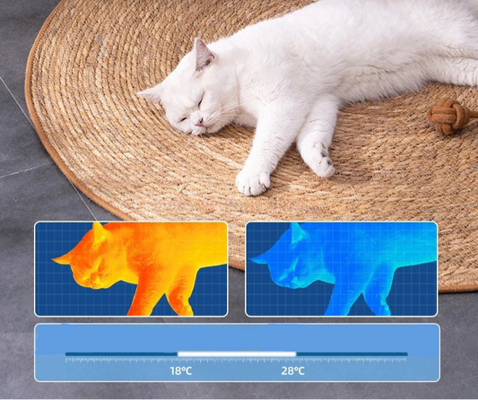 Panier Tapis™ - Ronron-Toudou