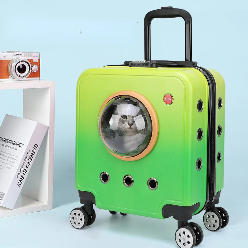 poussette-pour-chat-hublot-vert-jaune