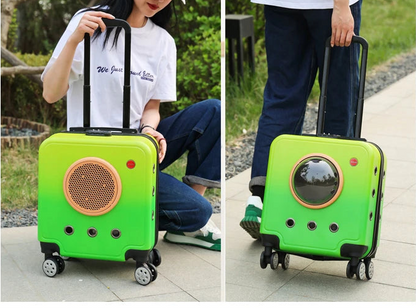 poussette-pour-chat-hublot